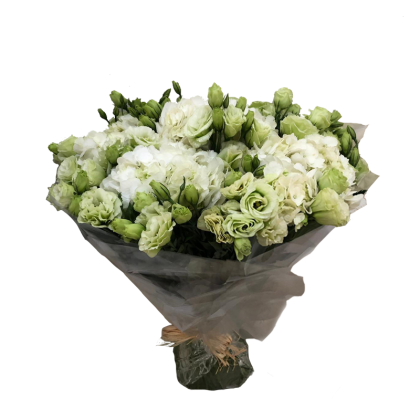 While roses Delivery Online Dubai