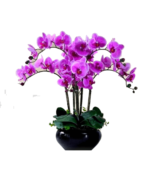 Purple flower delivery Dubai