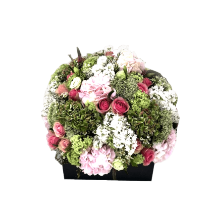 Get quality veronica flowers in dubai