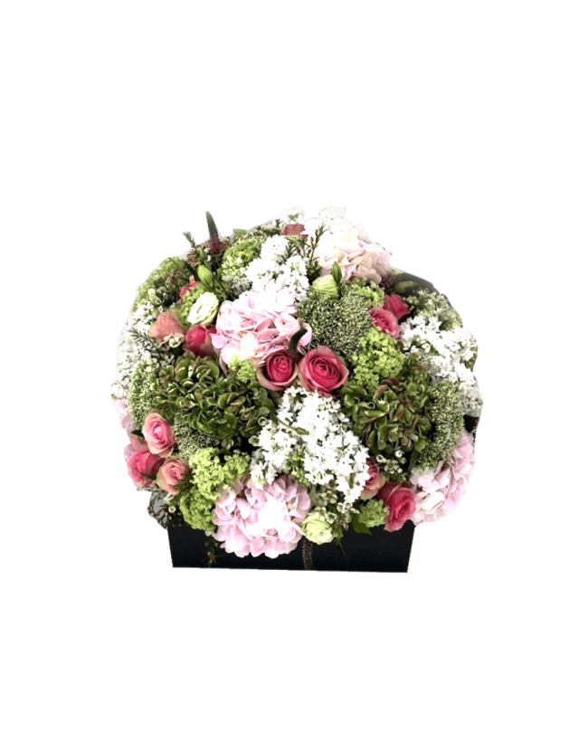 Get quality veronica flowers in dubai