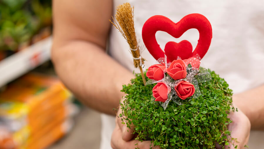 Tips For Ordering Your Anniversary Flower