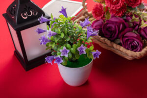 same day flower delivery dubai