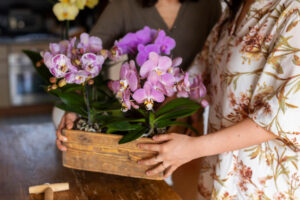Why Orchids from Covent Garden Make a Thoughtful Gift in Dubai