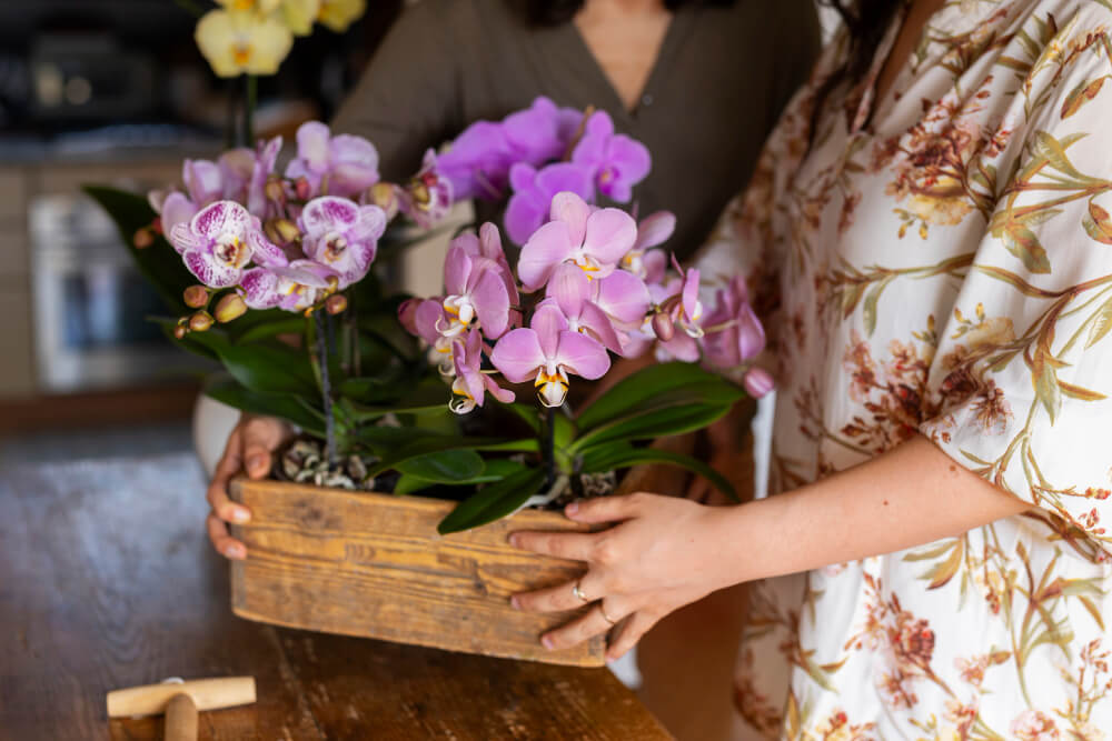 Why Orchids from Covent Garden Make a Thoughtful Gift in Dubai