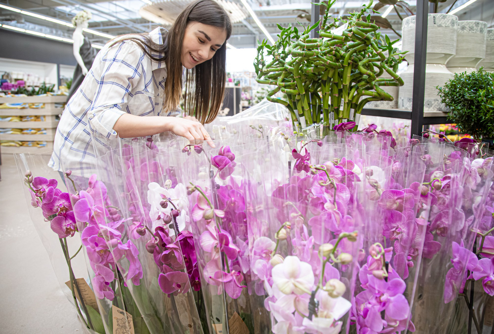 Orchid bouquet delivery Dubai